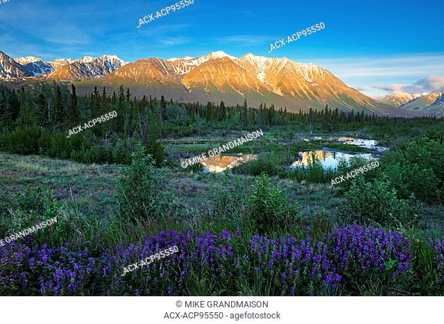 St. Elias Mountains, a subgroup of the Pacific Coast Ranges at sunrise Kluane National Park Yukon Canada