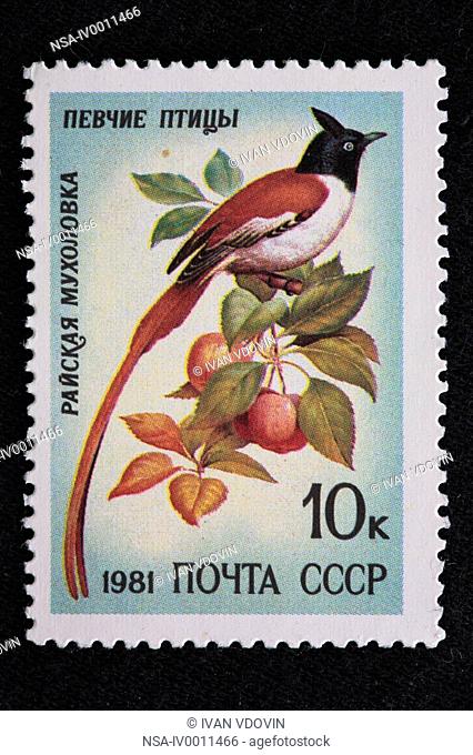 Asian Paradise Flycatcher Terpsiphone paradisi, postage stamp, USSR, 1981