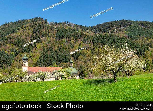 Monastery Sankt Trudpert, Münstertal, spring, Black Forest, Baden-Württemberg, Germany