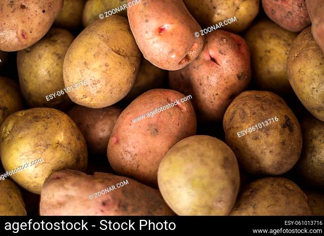 Raw potatoes - agricultural concept, close up