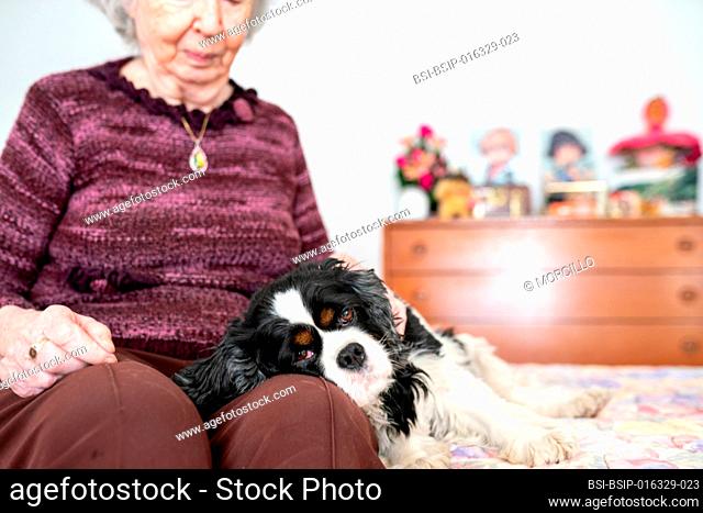 An octogenarian widow with her dog at the retirement home. Jacqueline refuses to leave Helsa, a King Charles who somewhat compensates for the loss of her...