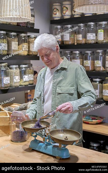 Senior man behind the counter in his shop pouring dried lavender blossoms into scale