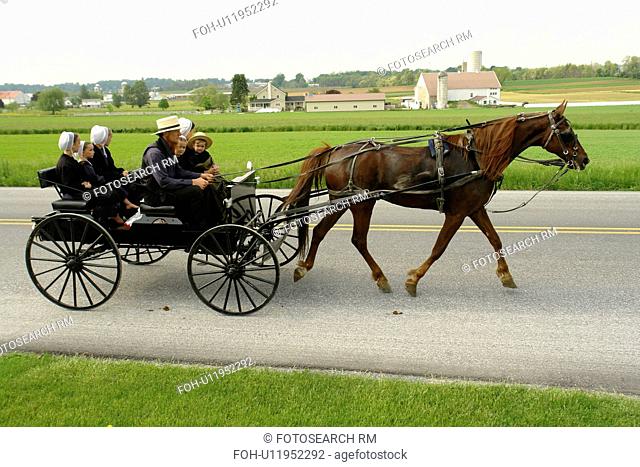 Gap, PA, Pennsylvania, Pennsylvania Dutch Country, Amish, horse and open buggy, family, road, farm