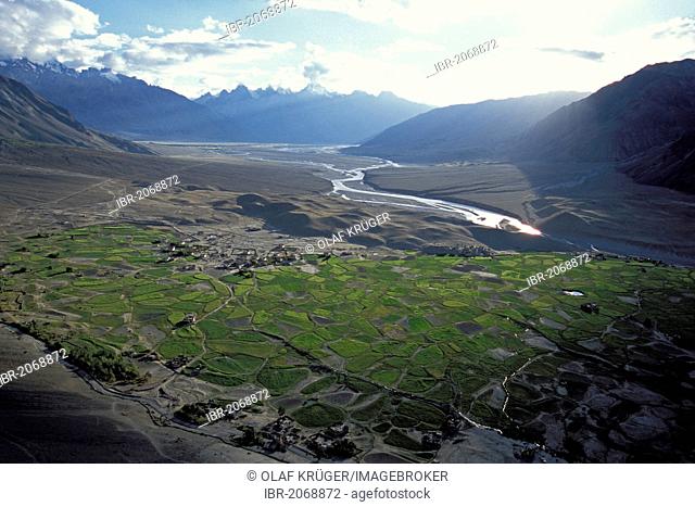 Zanskar valley, the fields of Tongde, Zanskar, Ladakh, Indian Himalayas, Jammu and Kashmir, northern India, India, Asia