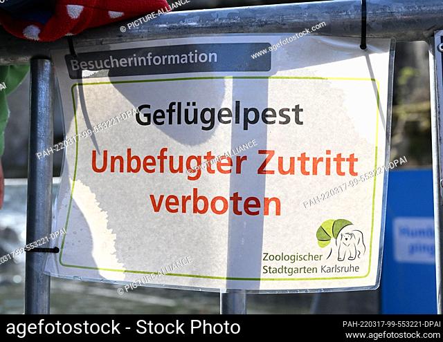 PRODUCTION - 14 March 2022, Baden-Wuerttemberg, Karlsruhe: In Karlsruhe Zoo, a visitor information board hangs on an enclosure that reads ""Avian influenza...