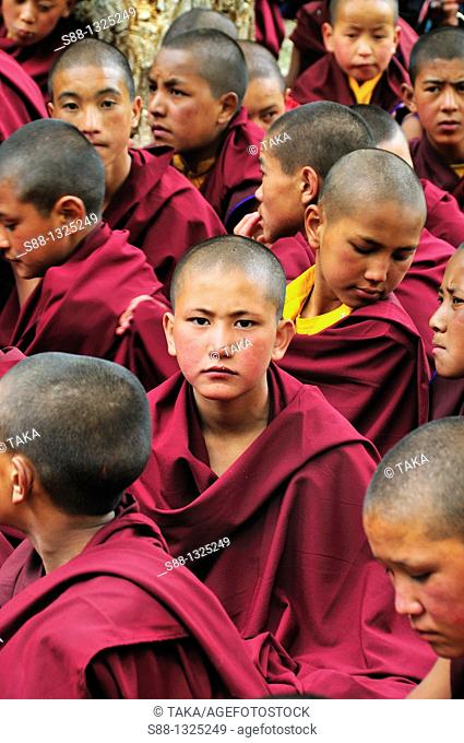 Young monks praying and waiting appearance of Living God Rimpoche at the temple. Jammu and Kashmir, India