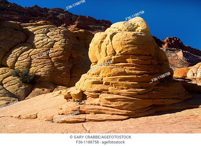 Striated layer sandstone formations at the Coyote Buttes, Paria Canyon Vermilion Cliffs Wilderness, Arizona