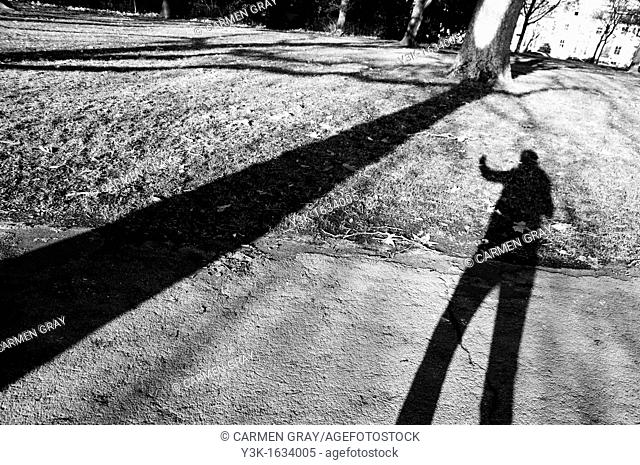 Black and white picture of my shadow approaching a tree