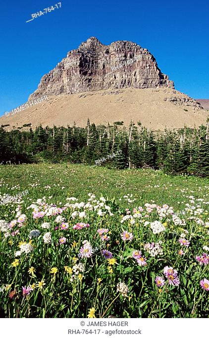 Logan Pass, Glacier National Park, Montana, United States of America, North America