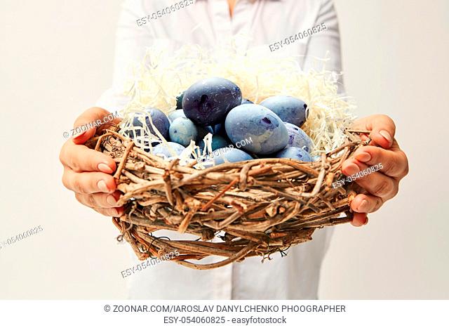 Nest with painted blue eggs, woman holding a nest of branches on a gray background. Easter post card