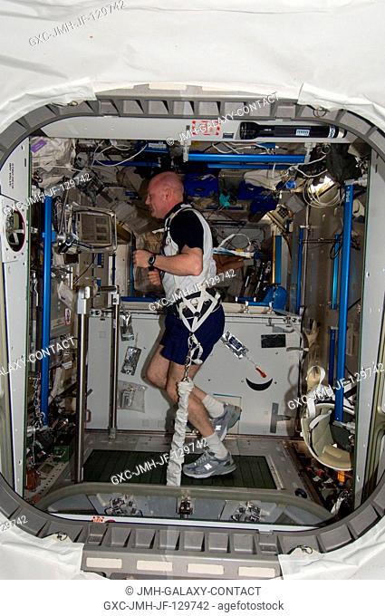 European Space Agency astronaut Andre Kuipers, Expedition 30 flight engineer, equipped with a bungee harness, exercises on the Combined Operational Load Bearing...