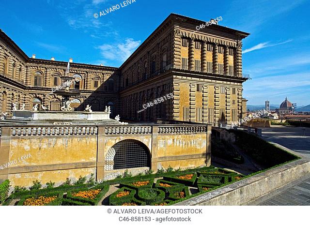 Pitti Palace. Florence. Tuscany. Italy