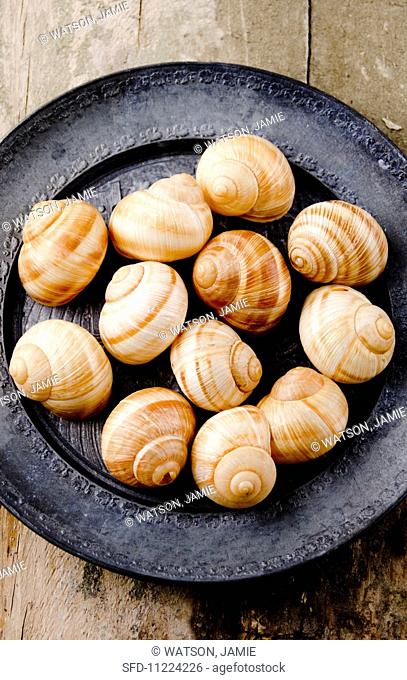 Edible snails on a tin plate