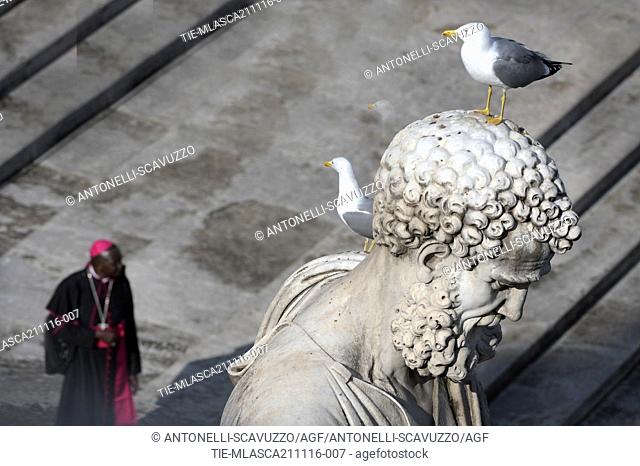 Seagulls during the Holy Mass closing the Jubilee of Mercy, Vatican, Rome, ITALY-21-11-2016