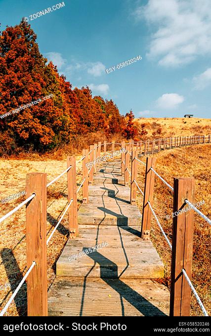 Yeongju Mountain Oreum volcanic cone hiking trail road at autumn in Jeju Island, Korea