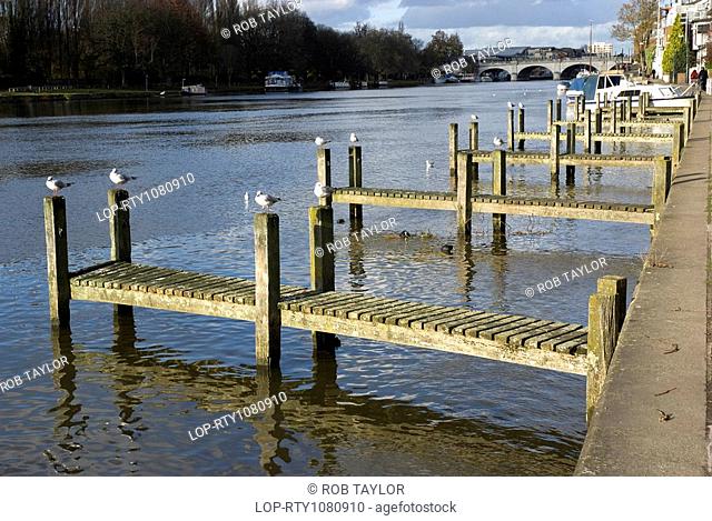 England, London, Kingston upon Thames, Wooden jetties along the Thames riverbank in Kingston upon Thames