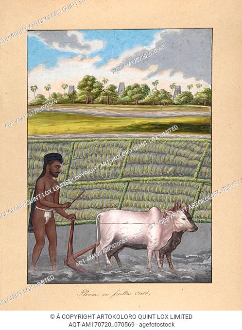 Plower in Pulla Caste, from Indian Trades and Castes, ca. 1840, Watercolor and gouache, sheet: 14 3/8 x 10 3/8 in. (36.5 x 26