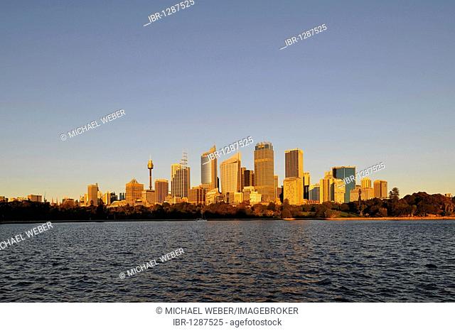 Skyline of Sydney at sunrise, TV Tower, Central Business District, Sydney, New South Wales, Australia