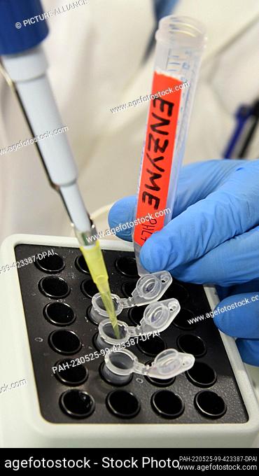 23 May 2022, Saxony, Leipzig: An enzymatic degradation test of PET plastic is being prepared in the genetic engineering laboratory at the Institute of...