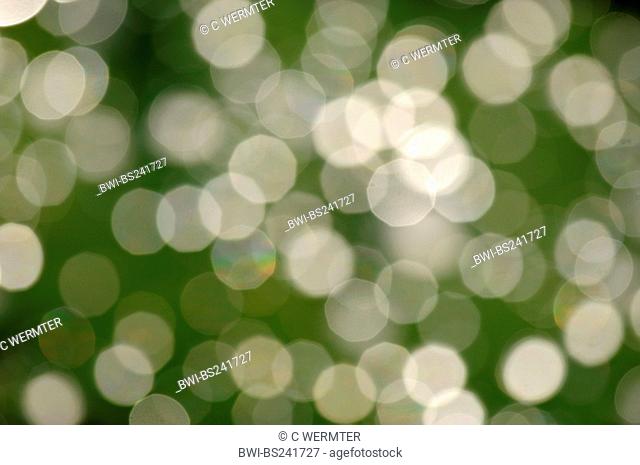 light reflexions on green