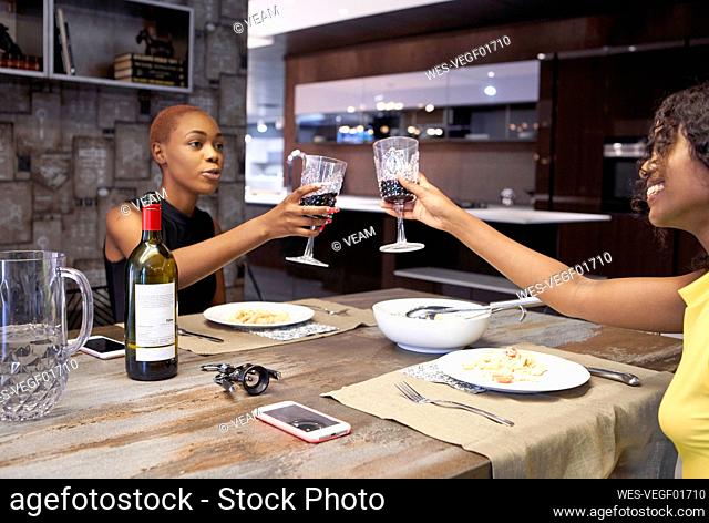 Two friends having dinner together at home toasting with red wine