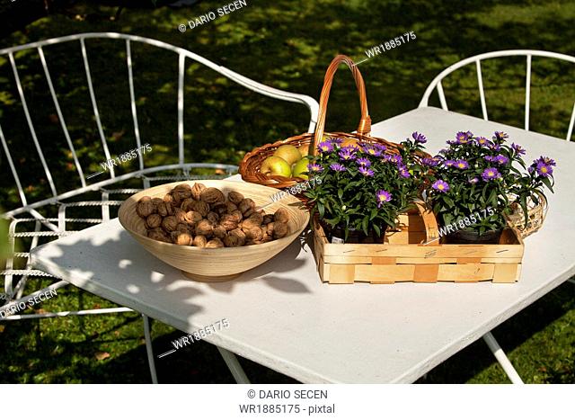 Apples, walnuts and flowers placed on table in the garden, Munich, Bavaria, Germany