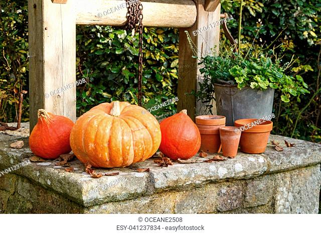 Pumpkins on the coping of a well after harvest during autumn