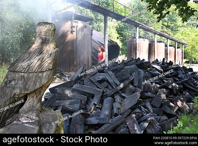 09 August 2022, Saxony, Eisenhammer: In her charcoal kiln Eisenhammer in the Düben Heath, charcoal burner Norma Austinat carries finished barbecue charcoal into...