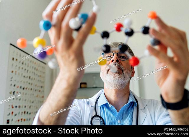 Doctor examining DNA molecule model in laboratory