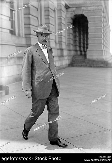 Fall, Albert Bacon, Senator from New Mexico, 1912-1921; Secretary of The Interior, 1921-1923, 1913. Creator: Harris & Ewing