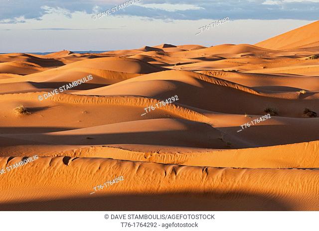 beautiful sand dunes at sunrise in the Sahara near Merzouga, Erg Chebbi, Morocco