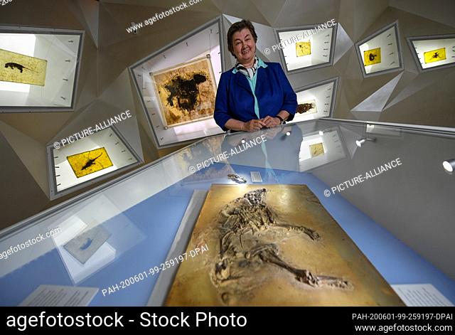 28 May 2020, Hessen, Messel: Marie-Luise Frey, Managing Director of Welterbe Grube Messel gGmbH, is standing in the treasure chamber of the Visitor Centre at a...