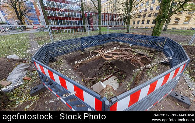 PRODUCTION - 23 November 2023, Hamburg: View of a mikva, a ritual immersion bath, uncovered for the investigations, in the background buildings of the...