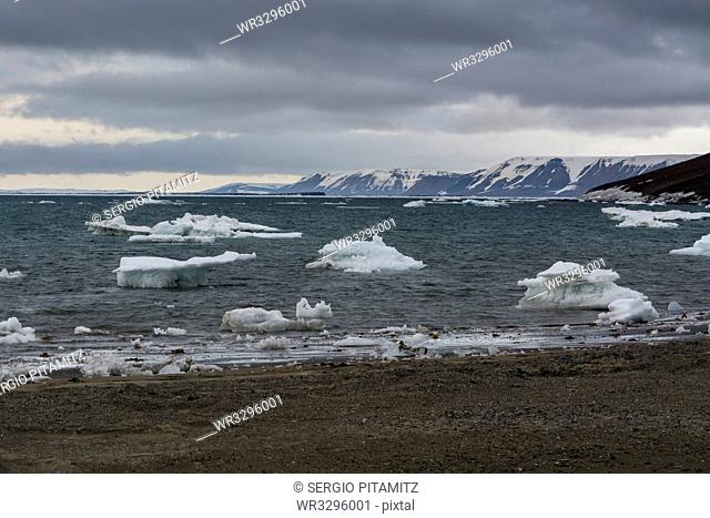 Edgeoya island, Svalbard islands, Arctic, Norway, Europe