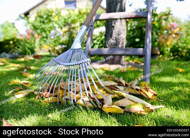 leaves, rake