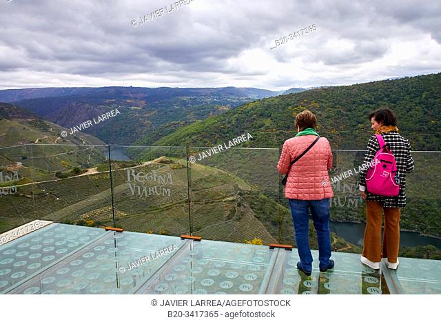 Viewpoint, Regina Viarum Winery, Ribeira Sacra, Heroic Viticulture, Sil river canyon, Sober, Lugo, Galicia, Spain