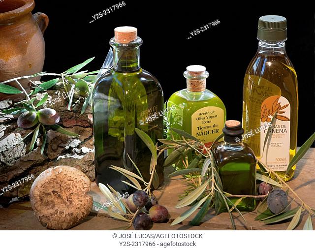 Still life of olive oil, Canena, Jaen province, Region of Andalusia, Spain, Europe