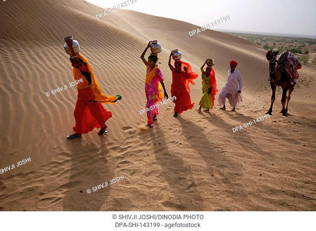 Women walking in desert with camel man ; Jaisalmer ; Rajasthan ; India