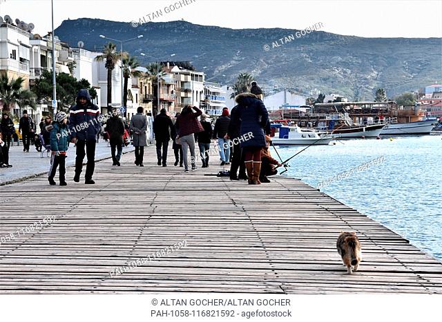 27 January 2019, Turkey, Izmir, Foca: A stray cat walks along the coast as people catch fishes with their fishing rods in the old town