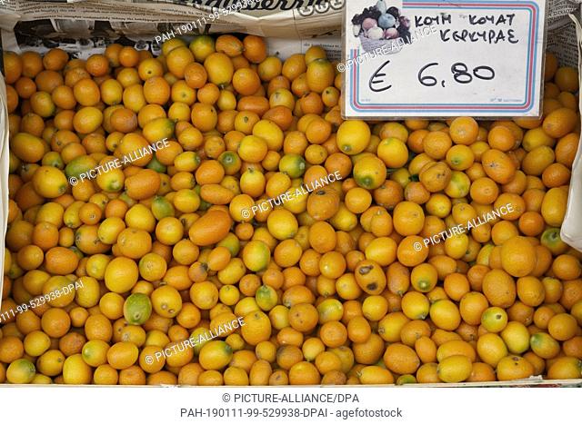 03 May 2018, Greece, Korfu: Kumquats are for sale in Corfu town, also Kerkyra, capital of Corfu island. Photo: Frank Rumpenhorst/dpa. - Korfu/Greece