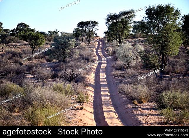 Commercial routes in a privately managed game reserve in the Namibian province of Karas, taken on 02/27/2019. Off-road vehicles with visitors to the reserve...
