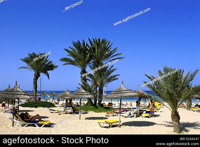 Beach in the oasis of Zarzis, Djerba Island, Tunisia, Africa