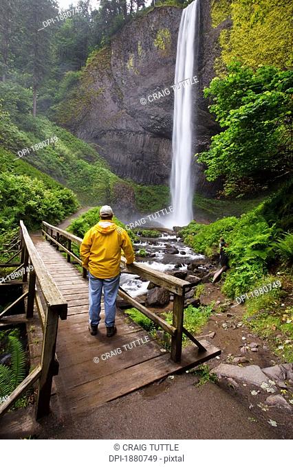 a hiker on a bridge looking at latourell falls in columbia river gorge national scenic area, oregon, united states of america