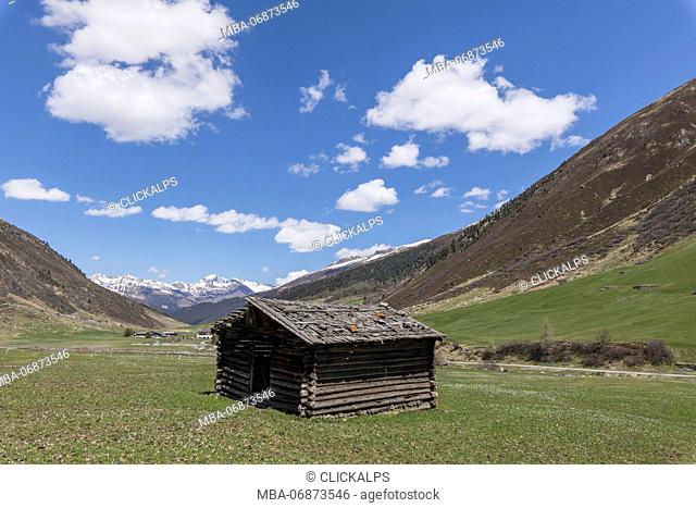 Wooden hut in the green meadows during spring, Davos, Sertig Valley, canton of Graubünden, Switzerland