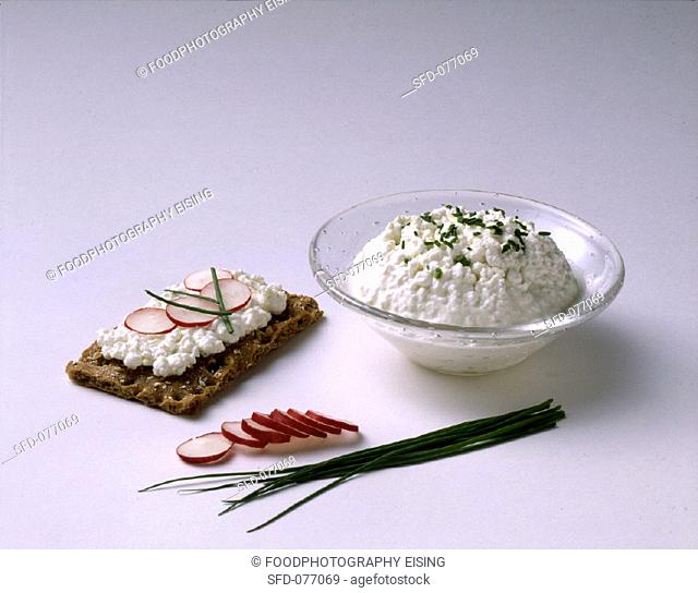 Cottage Cheese in White Bowl