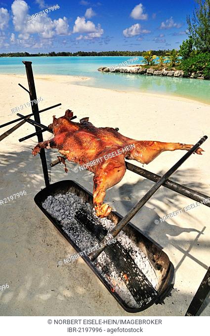 Suckling pig, St. Regis Bora Bora Resort, Bora Bora, Leeward Islands, Society Islands, French Polynesia, Pacific Ocean