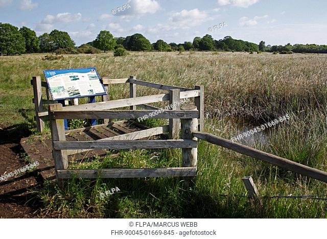 Viewing platform at edge of fen raft spider pool, in river valley fen habitat, Redgrave and Lopham Fen N N R , Waveney Valley, Suffolk, England, may