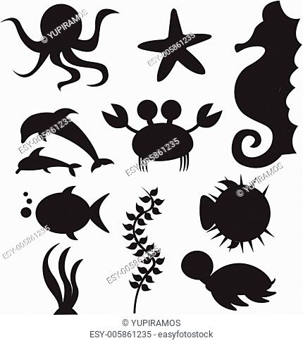 silhouette sea animals