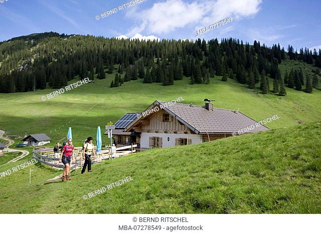 Hiker at the Stepbergalm, close Garmisch, Ammergau Alps, Upper Bavaria, Bavaria, Germany