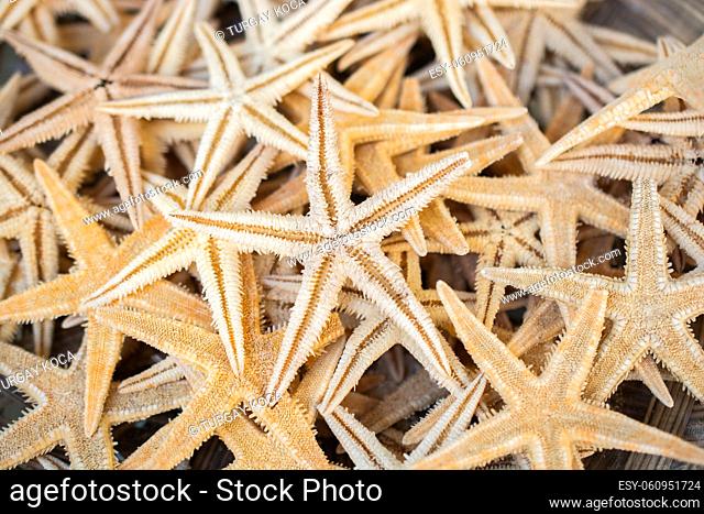 Natural materials of tropical starfish for travel concept